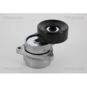 Fahrwerksfeder 8750 29095 von TRISCAN günstig für 48,18 € online kaufen