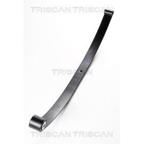 Federpaket für FIAT von TRISCAN
