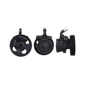 Servopumpe 15-0252 von ELSTOCK günstig für 146,88 € online kaufen