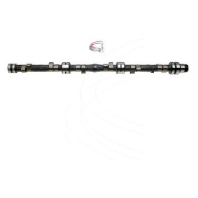 Nockenwelle CP10617 von CAMPRO günstig für 369,23 € online kaufen