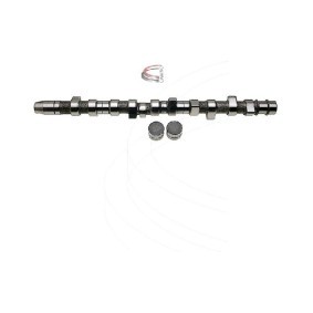 Nockenwellensatz CP60287 von CAMPRO günstig für 412,52 € online kaufen