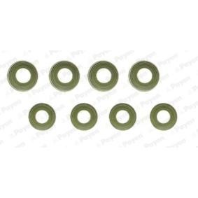 Compre Retentor de válvula de PAYEN online para 88/109 Mk2A SUV a preços moderados