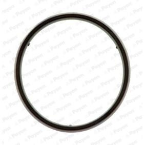 Comprar Junta, tapa de culata de cilindro de PAYEN JM5157 a bajo precio de 4,74 €