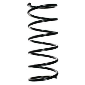 Fahrwerksfeder 55175 von SPIDAN günstig für 68,88 € online kaufen