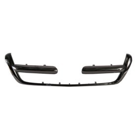 Achetez des Baguette et bande protectrice, grille de radiateur BLIC 6502-07-2956991P à prix pour 38,36 €