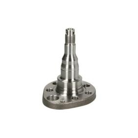 Achsschenkel des Herstellers BTA - Originalware Artikelnummer: H5W027BTA