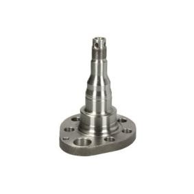 Achsschenkel des Herstellers BTA - Originalware Artikelnummer: H5W028BTA