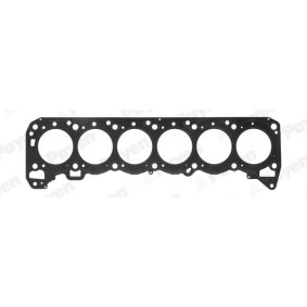Compre Junta da cabeça do motor de PAYEN online para Patrol GR IV Camião de plataforma / Chassis (Y60) a preços moderados