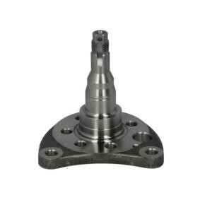Achsschenkel des Herstellers BTA - Originalware Artikelnummer: H5W007BTA