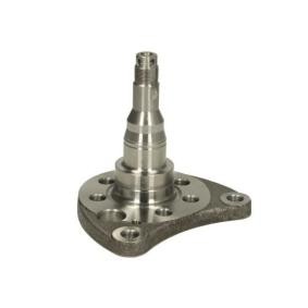 Achsschenkel des Herstellers BTA - Originalware Artikelnummer: H5W008BTA