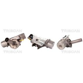 Lenksäule + Elektrische Servolenkung 8520 24704 von TRISCAN günstig für 696,67 € online kaufen
