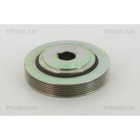 Compre Polia, cambota da TRISCAN 8643 10013 a um preço baixo por 137,56 €