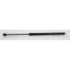 Heckklappendämpfer 8710 23243 von TRISCAN günstig für 18,89 € online kaufen