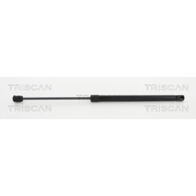 Heckklappendämpfer 8710 292025 von TRISCAN günstig für 25,93 € online kaufen