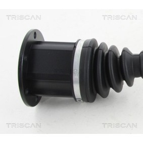 Verschlußschraube, Ölwanne 95-0999 von TRISCAN günstig für 6,87 € online kaufen