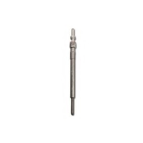 Glühkerze CH240/002 von CHAMPION günstig für 37,91 € online kaufen