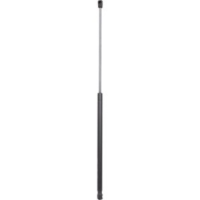 Achetez des Vérin de capot DIEDERICHS 9103100 à prix pour 19,23 €