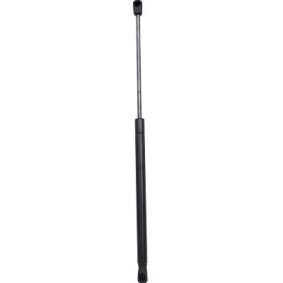 Heckklappendämpfer 9168100 von DIEDERICHS günstig für 23,41 € online kaufen