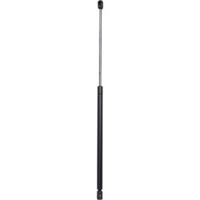 Heckklappendämpfer 9169000 von DIEDERICHS günstig für 33,69 € online kaufen
