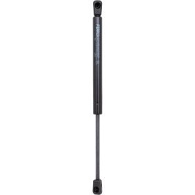 Heckklappendämpfer 9163500 von DIEDERICHS günstig für 20,54 € online kaufen