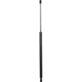 Heckklappendämpfer 9166600 von DIEDERICHS günstig für 64,01 € online kaufen