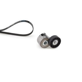 Compre Jogo de correias trapezoidais estriadas da GATES K056PK1218 a um preço baixo por 55,11 €