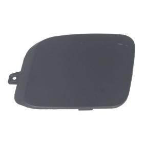 Achetez des Capuchon, crochet de remorquage BLIC 5513-00-0026971P à prix pour 15,08 €