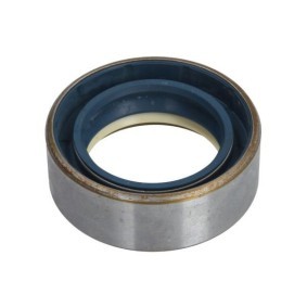 Wellendichtring, Radnabe des Herstellers BTA - Originalware Artikelnummer: B06-2040