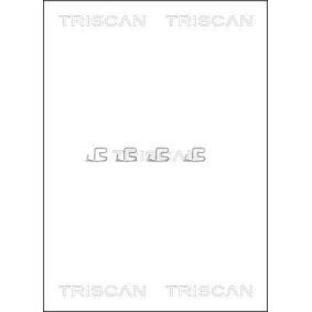 Zubehörsatz, Scheibenbremsbelag von TRISCAN 8105 101609