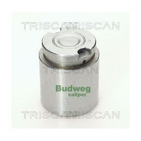 Compre Interruptor de temperatura, ventilador do radiador da TRISCAN 8625 132115 a um preço baixo por 15,19 €