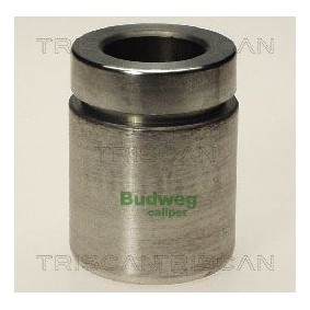Temperaturschalter, Kühlerlüfter 8625 170097 von TRISCAN günstig für 12,03 € online kaufen