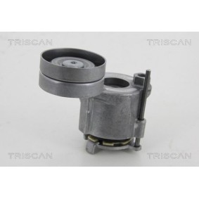 Spannrolle, Keilrippenriemen 8641 253011 von TRISCAN günstig für 75,29 € online kaufen