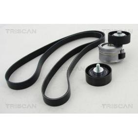 Keilrippenriemensatz 8642 10014 von TRISCAN günstig für 174,98 € online kaufen