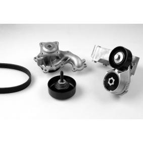 Wasserpumpe + Keilrippenriemensatz K980709B von GK günstig für 214,71 € online kaufen