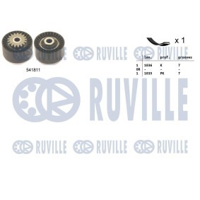Wasserpumpe 65879 von RUVILLE günstig für 32,57 € online kaufen