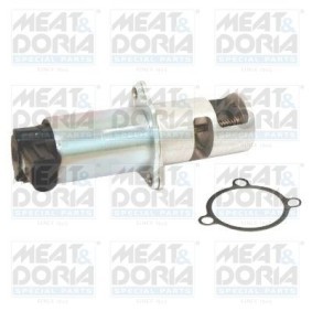 AGR-Ventil für DACIA von MEAT & DORIA