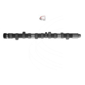Nockenwelle CP10222 von CAMPRO günstig für 562,93 € online kaufen