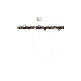 Nockenwelle CP10260 von CAMPRO günstig für 579,28 € online kaufen