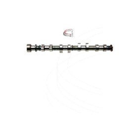 Compre Árbol de levas de CAMPRO online para Escort Mk5 Cabrio (ALL) a precios moderados