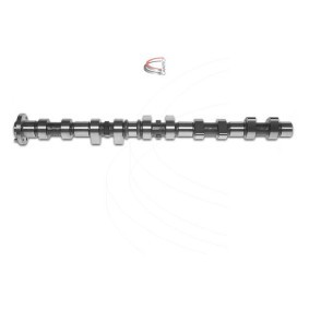 Nockenwelle CP11965 von CAMPRO günstig für 357,60 € online kaufen