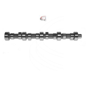 Nockenwelle CP17003 von CAMPRO günstig für 630,79 € online kaufen