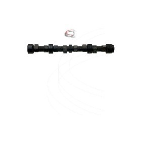 Compre Árvore de cames de CAMPRO online para VANETTE CARGO Autocarro (HC 23) a preços moderados
