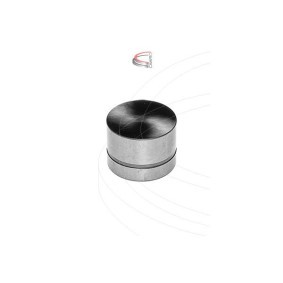 Hydrostößel CP40615 von CAMPRO günstig für 31,07 € online kaufen