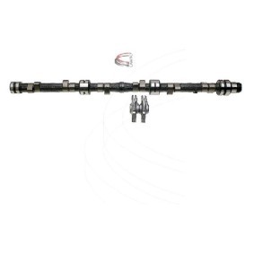Nockenwellensatz CP60633 von CAMPRO günstig für 1019,78 € online kaufen