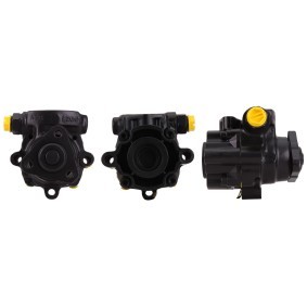 Compre Bomba de direção de DRI online para Discovery II (L318) a preços moderados