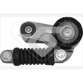 Spannrolle, Keilrippenriemen T2007 von HUTCHINSON günstig für 160,94 € online kaufen