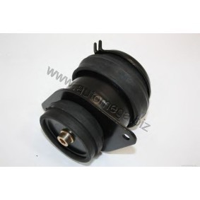Compre Apoio do motor de AUTOMEGA online para Ibiza III (6K1) a preços moderados