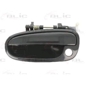 Türgriff 6010-20-023401P HYUNDAI von BLIC
