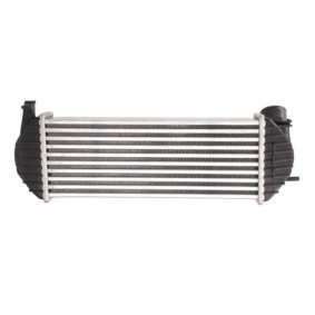 Ausgleichsbehälter DBR005TT von THERMOTEC günstig für 13,99 € online kaufen