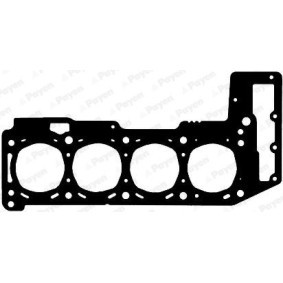 Comprar Junta de culata de PAYEN AG7300 a bajo precio de 44,58 €